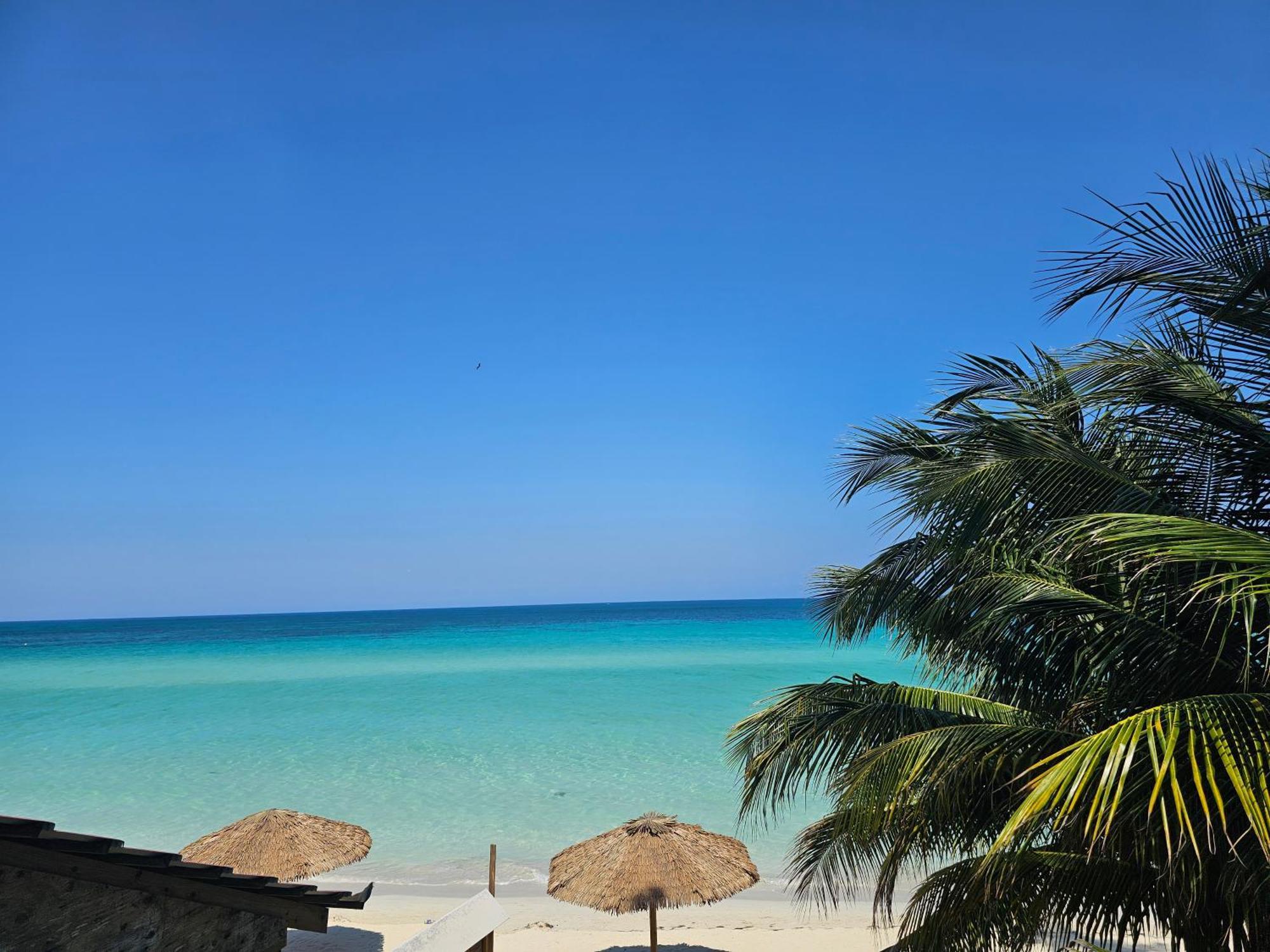 Roots Cafe Rooms Negril Exteriör bild